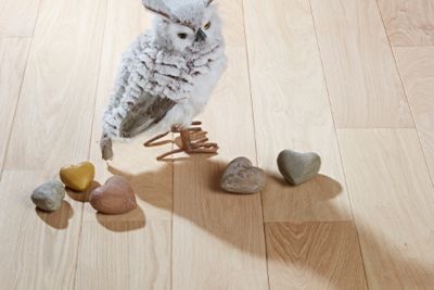 Photo de parquet SRC Parquet installé dans une chambre.